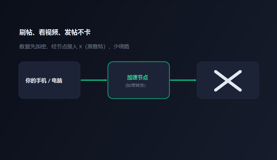X加速器上X场景示意，本地设备数据经加速节点加密转发到X原推特